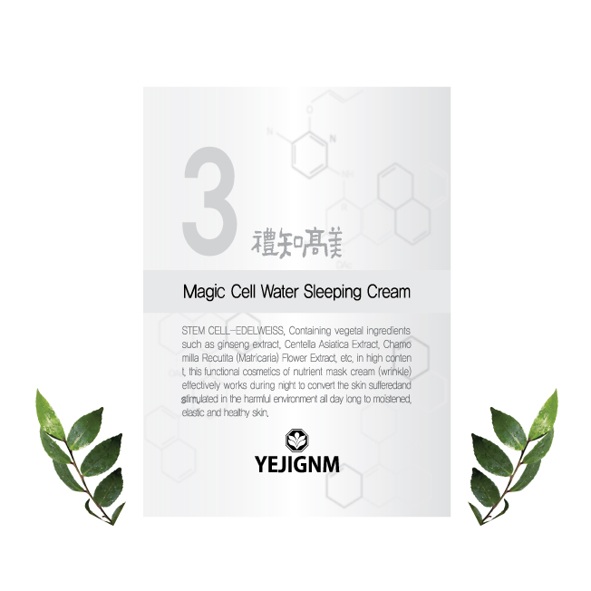 Magic Cell Water Sleeping Cream [30EA]